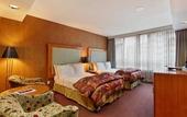 Туры в отель The Parker Hotel and Rooftop