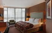 Туры в отель The Parker Hotel and Rooftop