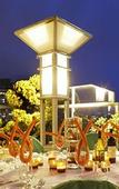 Туры в отель The Parker Hotel and Rooftop