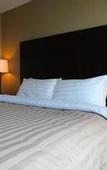 Туры в отель Rosedale Condominiums