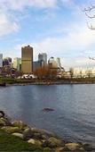 Туры в отель Rosedale Condominiums