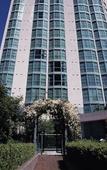 Туры в отель Rosedale Condominiums
