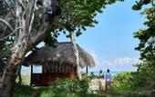 Туры в отель Iberostar Tainos