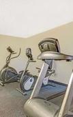 Туры в отель Hotel South Tampa & Suites