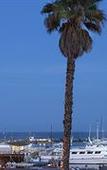 Туры в отель West Beach Inn, a Coast Hotel