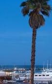 Туры в отель West Beach Inn, a Coast Hotel