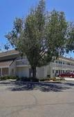 Туры в отель Vagabond Inn Santa Barbara - Carpinteria South