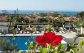 Туры в отель Kanucha Bay Hotels & Villas