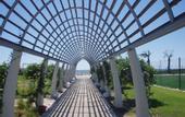 Туры в отель Iberostar Tropical