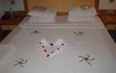 Туры в отель Iberostar Tropical