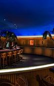 Туры в отель Hotel at the Waldorf