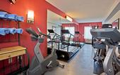 Туры в отель Holiday Inn Express Hotel & Suites New Tampa I-75 by IHG