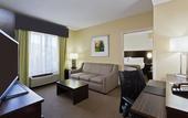Туры в отель Holiday Inn Express Hotel & Suites New Tampa I-75 by IHG