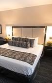 Туры в отель DoubleTree by Hilton St. Louis Forest Park