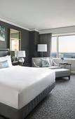 Туры в отель The Ritz-Carlton, Tysons Corner