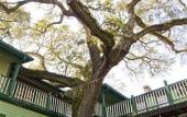 Туры в отель Florida House Inn