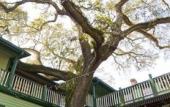 Туры в отель Florida House Inn