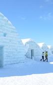 Туры в отель Cross Hotel Sapporo