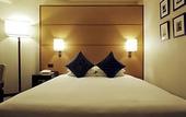 Туры в отель Premier Hotel Nakajima Park Sapporo(EX:Novotel Sapporo Hotel)