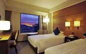 Туры в отель Premier Hotel Nakajima Park Sapporo(EX:Novotel Sapporo Hotel)