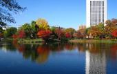 Туры в отель Premier Hotel Nakajima Park Sapporo(EX:Novotel Sapporo Hotel)