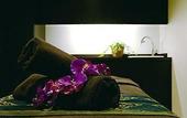 Туры в отель Premier Hotel Nakajima Park Sapporo(EX:Novotel Sapporo Hotel)