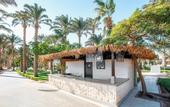 Туры в отель Jaz Makadi Oasis Resort & Club