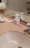 Туры в отель Tokyo Dai-ichi Hotel Nishiki
