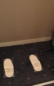 Туры в отель Tokyo Dai-ichi Hotel Nishiki