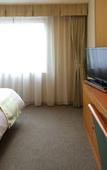 Туры в отель Tokyo Dai-ichi Hotel Nishiki