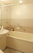 Туры в отель Tokyo Dai-ichi Hotel Nishiki