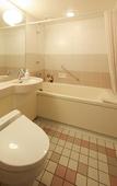 Туры в отель Tokyo Dai-ichi Hotel Nishiki