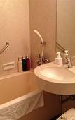 Туры в отель Tokyo Dai-ichi Hotel Nishiki