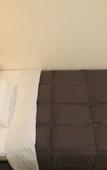 Туры в отель Nagoya Sakae Washington Hotel Plaza