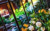 Туры в отель Be Jardin Escondido by Coppola