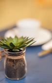Туры в отель Garner Hotel Cologne East by IHG
