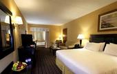 Туры в отель Holiday Inn Express Stony Brook by IHG
