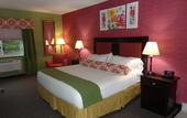 Туры в отель Holiday Inn Express Stony Brook by IHG