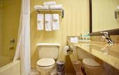 Туры в отель Holiday Inn Express Stony Brook by IHG