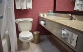 Туры в отель Holiday Inn Express Stony Brook by IHG