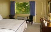 Туры в отель The Freeport Inn and Marina