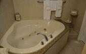 Туры в отель The Freeport Inn and Marina