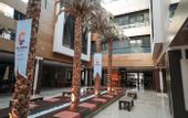 Туры в отель Calimera Serra Palace