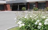 Туры в отель NilHotel Florence