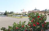 Туры в отель NilHotel Florence