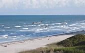 Туры в отель La Quinta Inn & Suites by Wyndham Cocoa Beach Oceanfront