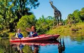 Туры в отель Days Inn by Wyndham Cocoa Beach Port Canaveral