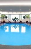 Туры в отель Novotel Toronto North York