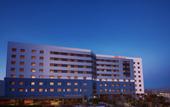 Туры в отель Ibis Hotel Istanbul Zeytinburnu