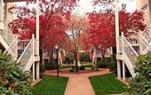 Туры в отель Sonesta ES Suites Providence - Airport